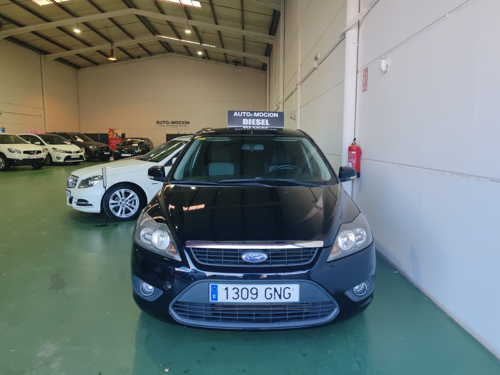 FORD Focus Terend 1.6  90cv 