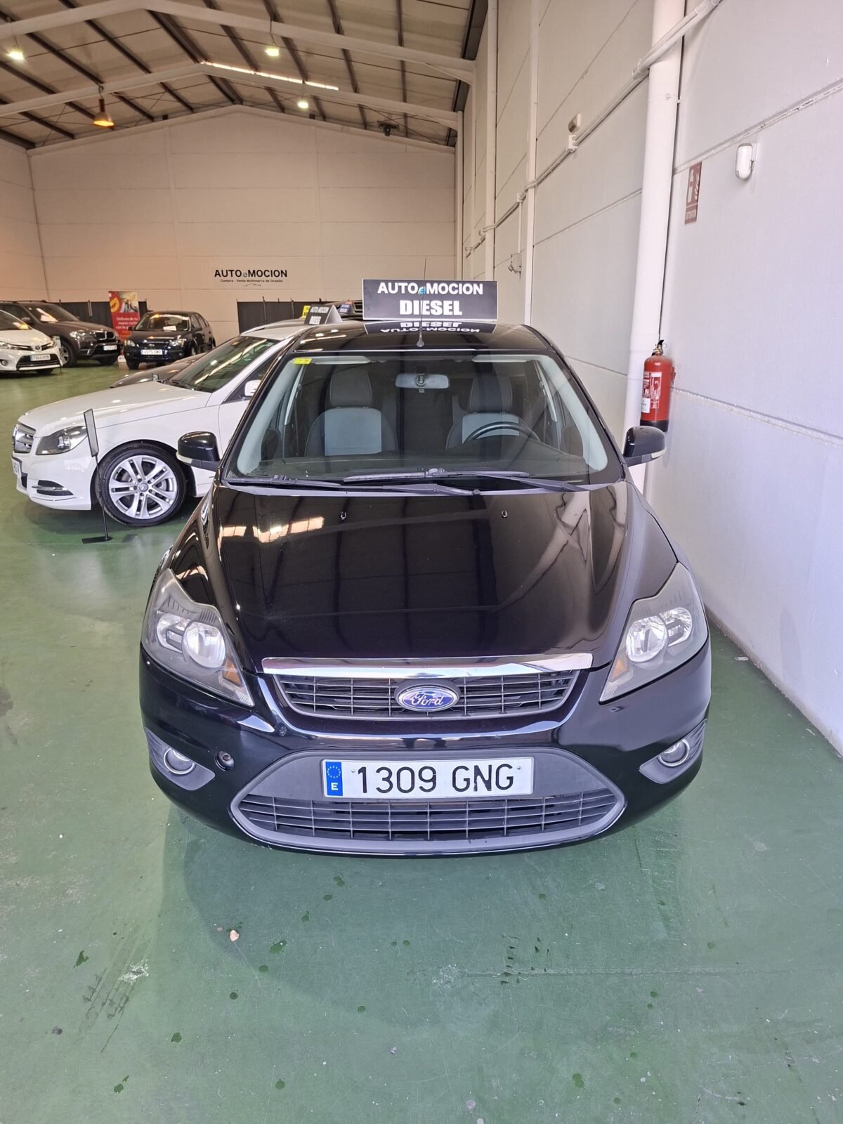 FORD Focus Terend 1.6  90cv 